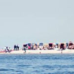 11269317 1025936474091610 1500052671229148304 o