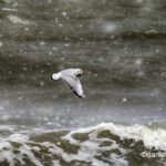 29314751 1983312168354031 956418302614175744 o