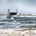 29339617 1983026625049252 1657978558758256640 o