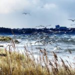 29356097 1983326885019226 9066211083185815552 o