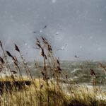 29473149 1985493211469260 6053772836256874496 o