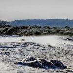 29496955 1986610721357509 265968864871841792 o